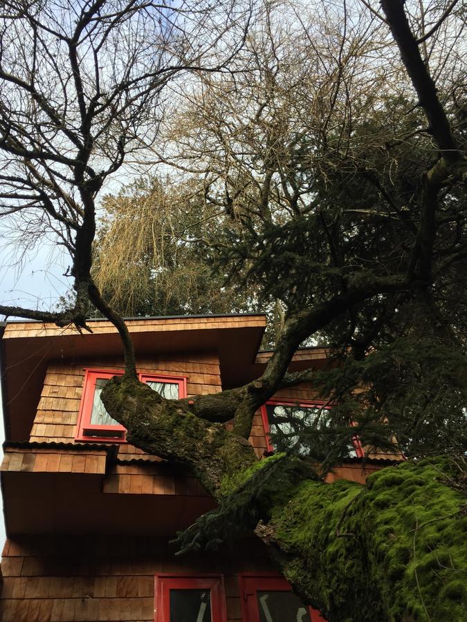 Almabosque Cabañas Puerto Varas Exterior foto